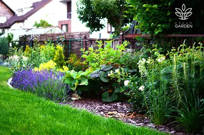 Czas Na Trawnik dawniej Dream Garden